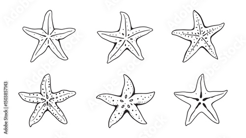 Starfish art for marine life lovers