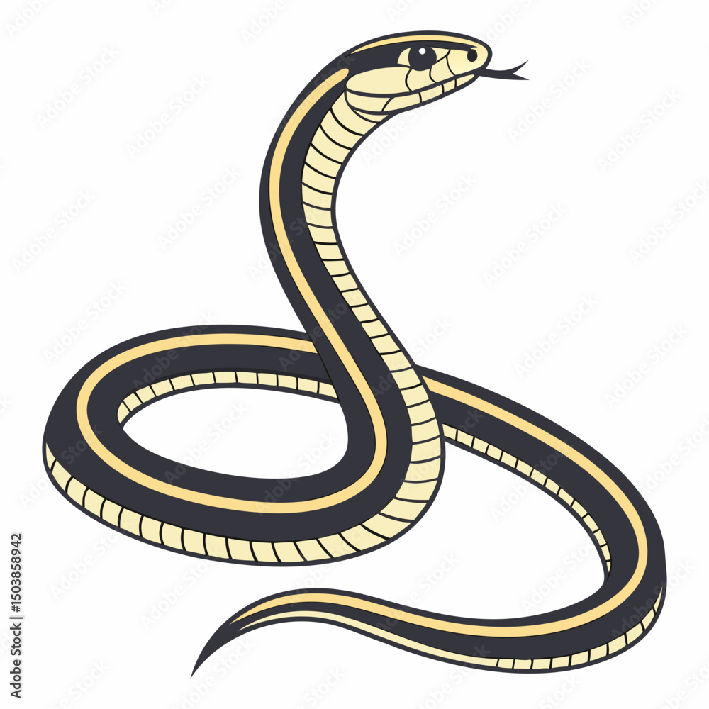 Fototapeta premium Striped racer snake, slender and swift, bearing a band of yellow stripes on its dark, thin body
