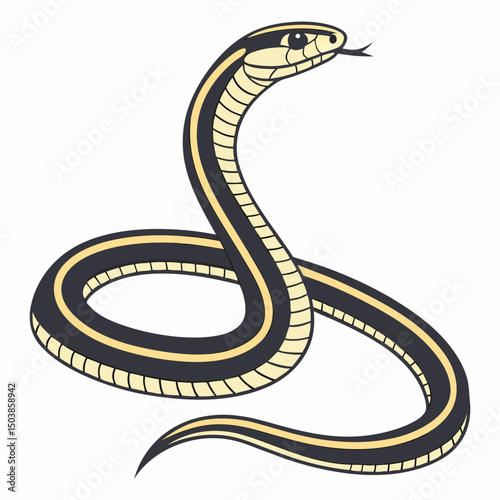 Striped racer snake, slender and swift, bearing a band of yellow stripes on its dark, thin body