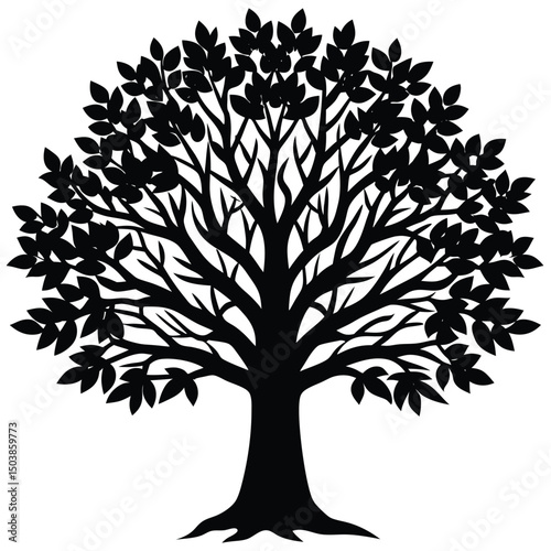 a broad leaved tree with thick branches and dense
