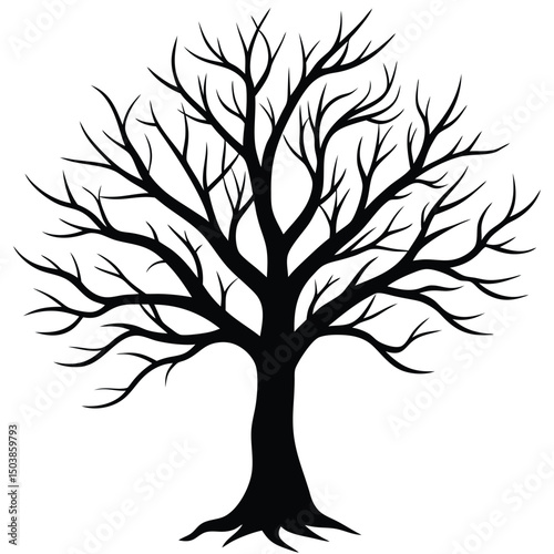 a bare tree with intricate branches casting delic