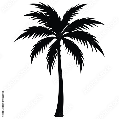 a coconut tree silhouette with an elongated trunk