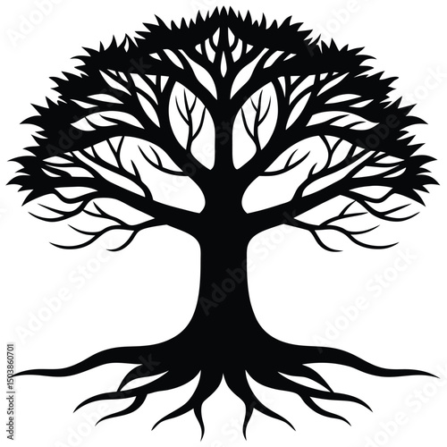 a large tree with a crooked trunk and deeply sprea