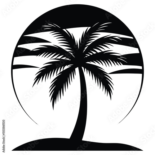 a lone palm tree with its long leaves stretching u