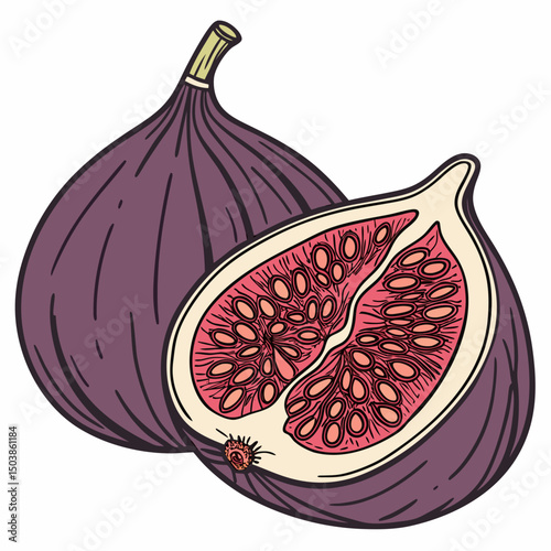 figs on a white background