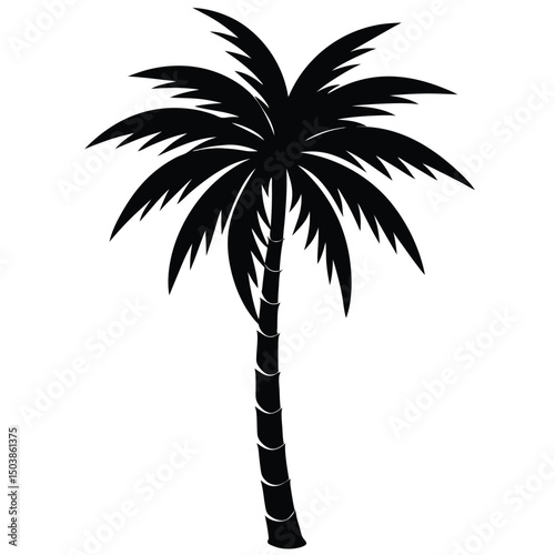 a minimalistic palm tree with a straight trunk and