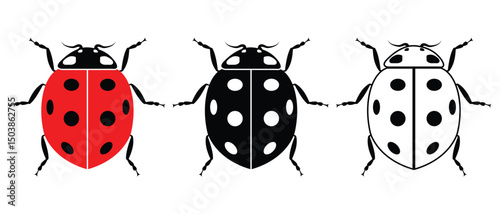 Lady bug ladybug vector illustration. Lady bug, beetle silhouette icon in white background. Insect vector illustration.
