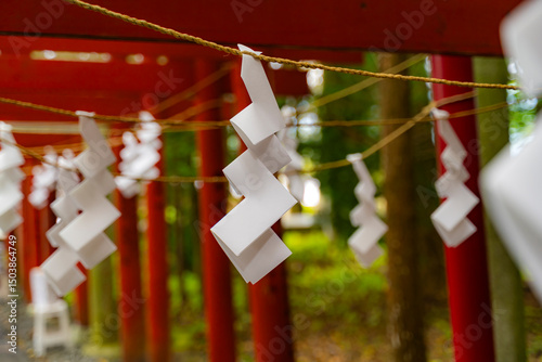 神域を守る紙垂と注連縄
Shide paper streamers on sacred rope at a Japanese shrine photo