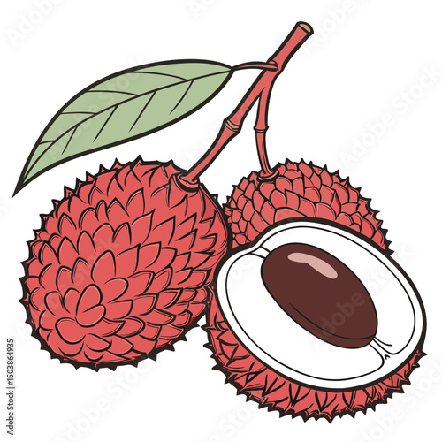 Lychee on white background. Lychee icon logo, Adobe Illustrator Artwork