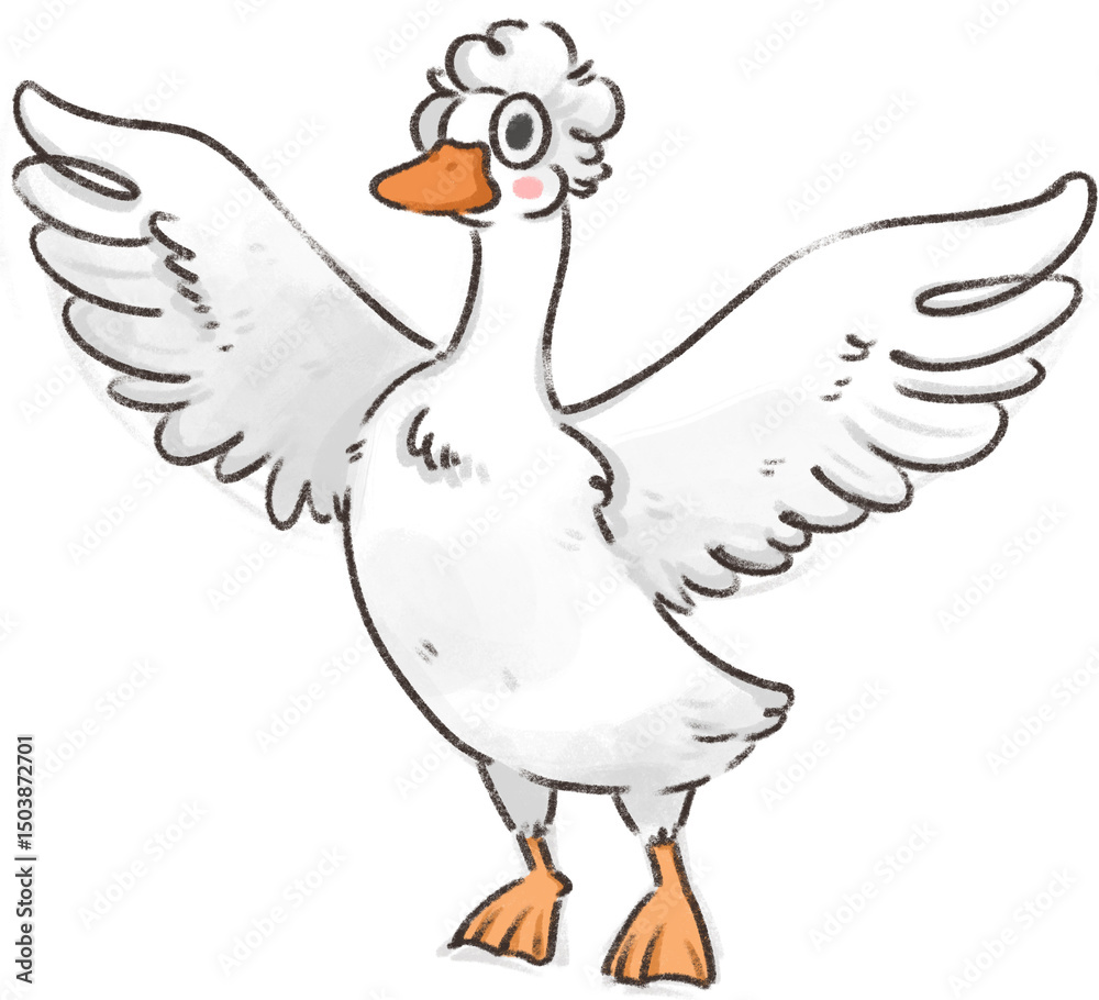 Fototapeta premium white duck