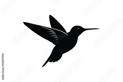 hummingbird silhouette isolated on white