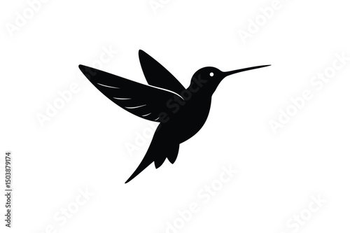 Hummingbird silhouette on white background
