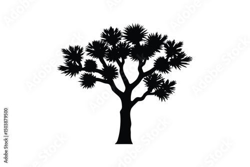 Joshua tree silhouette on white background