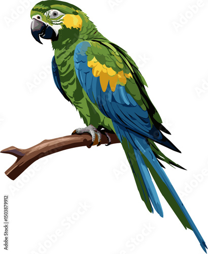 A colorful green blue and yellow macaw, an exotic tropical bird, is isolated on a white background, parrot 