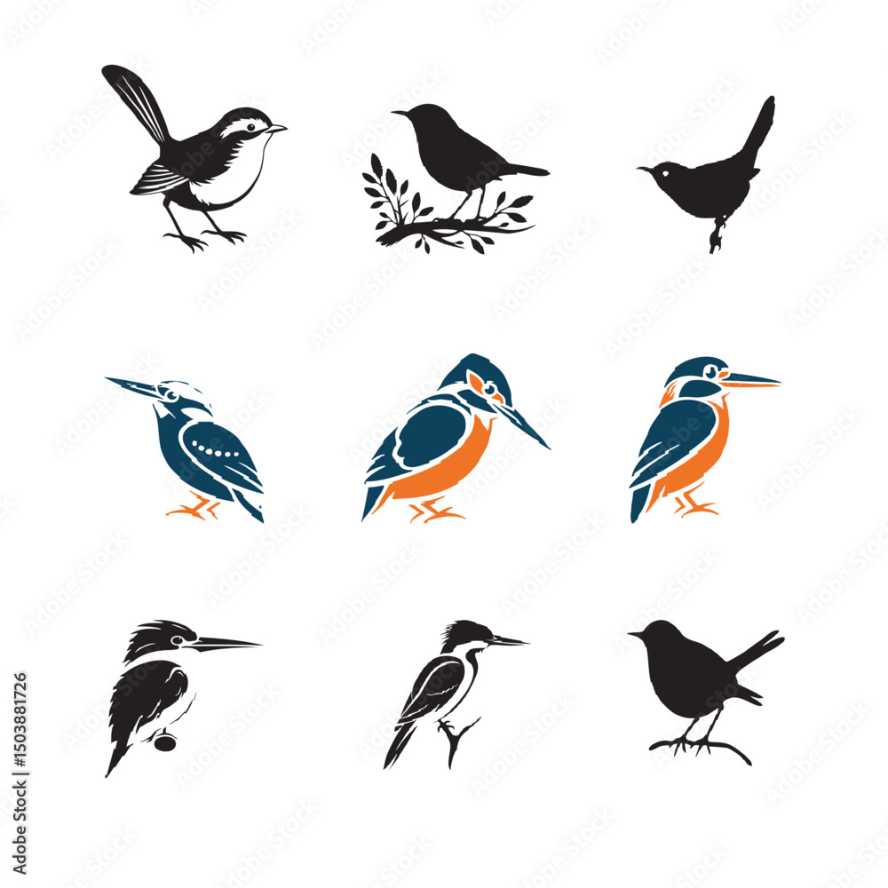 Obraz premium bird vector image 7