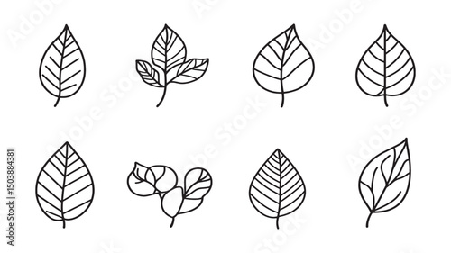 Mango leaf green simple vector drawing