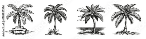 Vintage Palm Trees Collection for Summer and Beach Themes