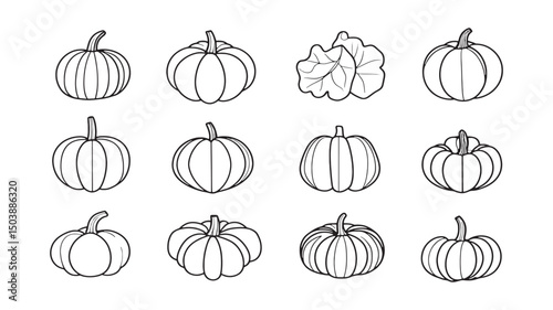 Pumpkin leaf rustic autumn garden motif