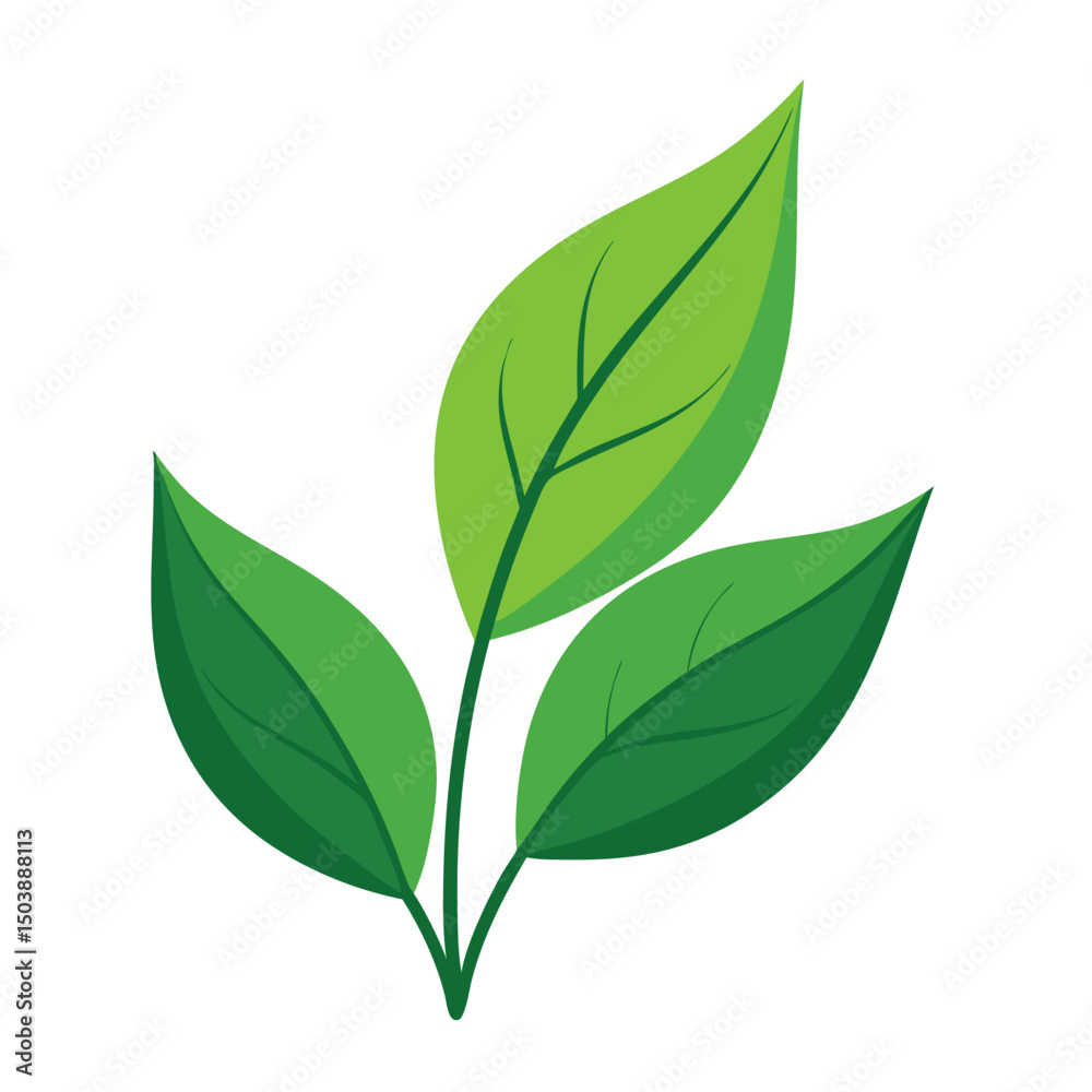 Fototapeta premium three green leaves attached to a single stem.
