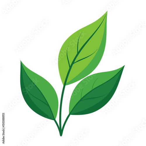 three green leaves attached to a single stem.