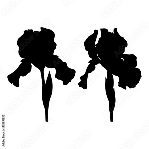 Black Silhouettes of iris flower 