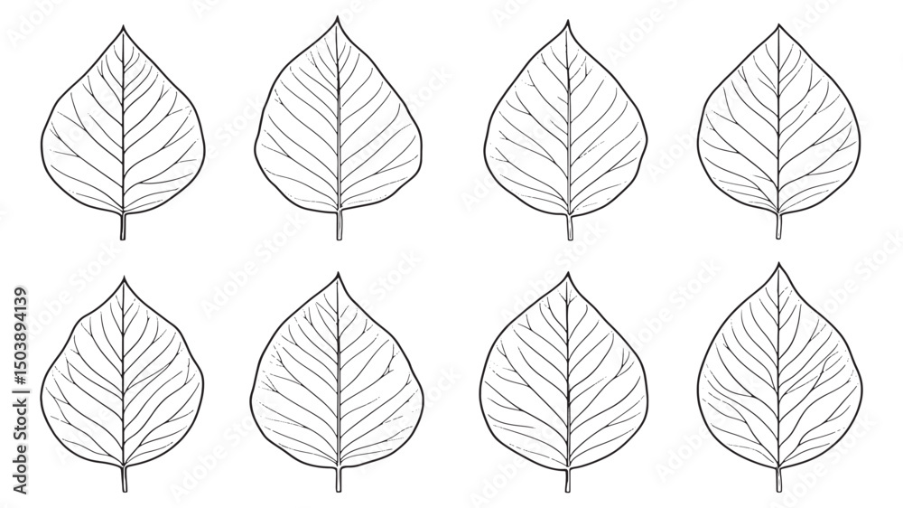 Obraz premium Teak Leaf Simple Botanical Line Drawing