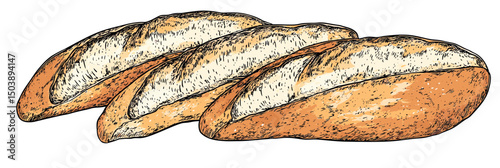 Hand drawn sketch of three fresh artisan baguettes isolated on white background detailed bakery bread illustration in vintage style for food packaging design