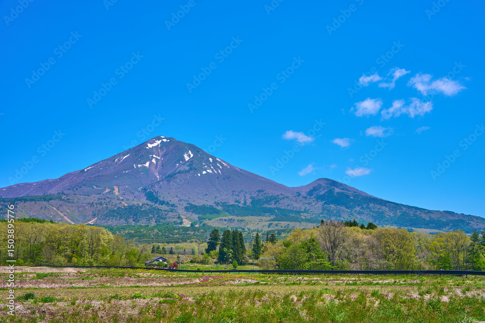 Naklejka premium 春の福島県猪苗代町の県道7号沿いの磐梯山眺望箇所から残雪残る磐梯山と赤埴山