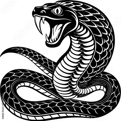 Aggressive black and white cobra illustration