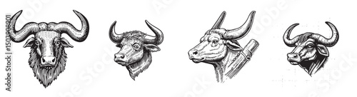 Vintage Illustrations of Various Bull Heads in Black and White Style, logo design, engraving design, vector illustration