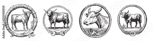 Vintage Engravings of Cattle in Decorative Circular Frames, logo design, engraving design, vector illustration