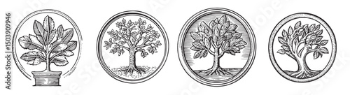 Vintage Botanical Illustrations of Four Distinct Tree Designs, vintage retro hipster logo design, vector illustration, engraving design