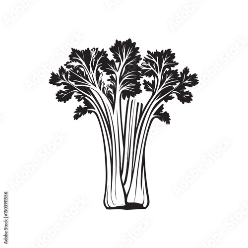 Vector illustration of fresh celery leaves, designed in a clean and detailed style isolated on white background.