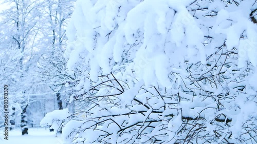 Snowstorm in the forest, winter landscape. Heavy snowfall in the city park. Winter landscape - a snow-covered park with beautiful trees, covered with hoarfrost
