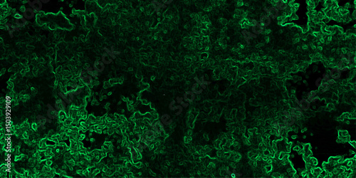 Abstract dark, texture with a complex network of glowing neon green contour lines and organic patterns. Black, while the electric green filaments form chaotic, squiggly paths across the canvas,