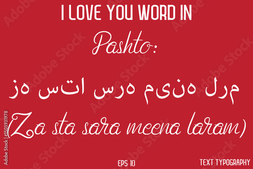 Pashto زه ستا سره مینه لرم (Za sta sara meena laram)      -  I Love You Word Typography Cursive Text