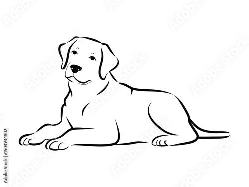 Simple black line art illustration of a relaxed labrador retriever dog on a white background
