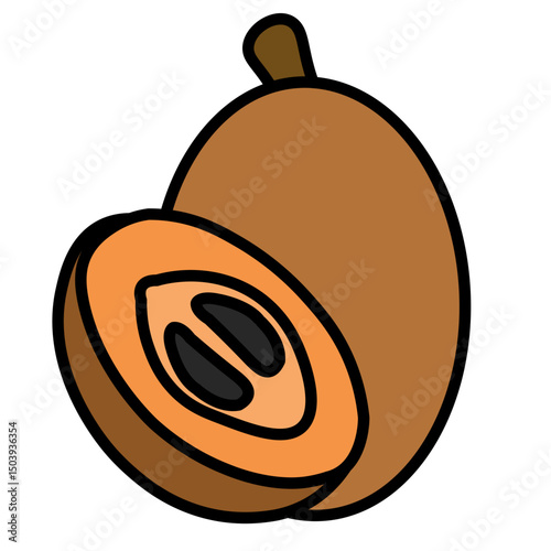 sapodilla illustration