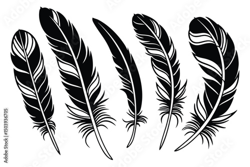 Black and white vector illustration of a collection of different feather shapes