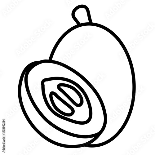 sapodilla illustration