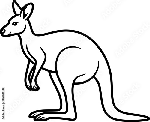 Kangaroo silhouette and line art vector illustration.