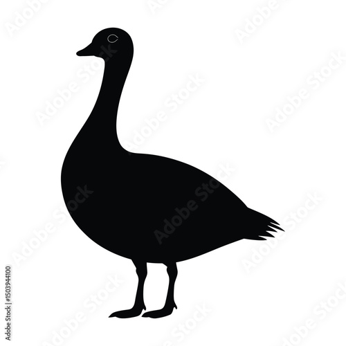 Goose black silhouette isolated on white background