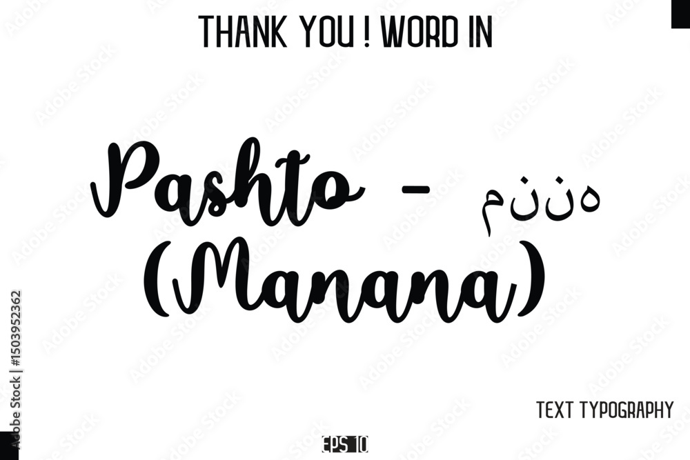 Fototapeta premium Pashto - مننه (Manana) - Thank You ! Word Elegant Cursive Text Typography Phrase