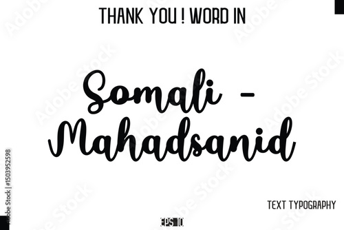 Somali - Mahadsanid    - Thank You ! Word Elegant Cursive Text Typography Phrase