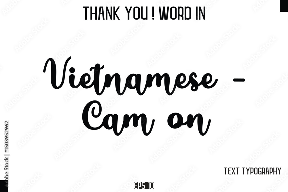 Fototapeta premium Vietnamese - Cam on - Thank You ! Word Elegant Cursive Text Typography Phrase