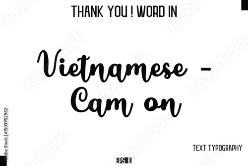 Vietnamese - Cam on  - Thank You ! Word Elegant Cursive Text Typography Phrase