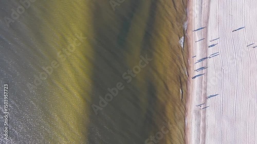 Group of people walking along a sunny beach by the sea