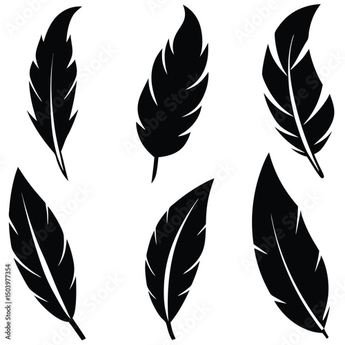 Six Black Feather Silhouettes Illustration Artistically Arranged on a Clean White Background