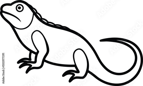 line art of a iguana on the white background