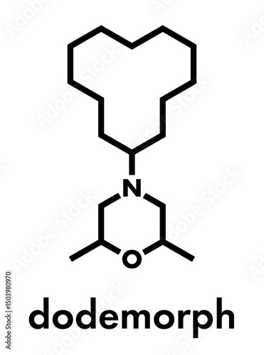 Dodemorph contact fungicide molecule. Skeletal formula.